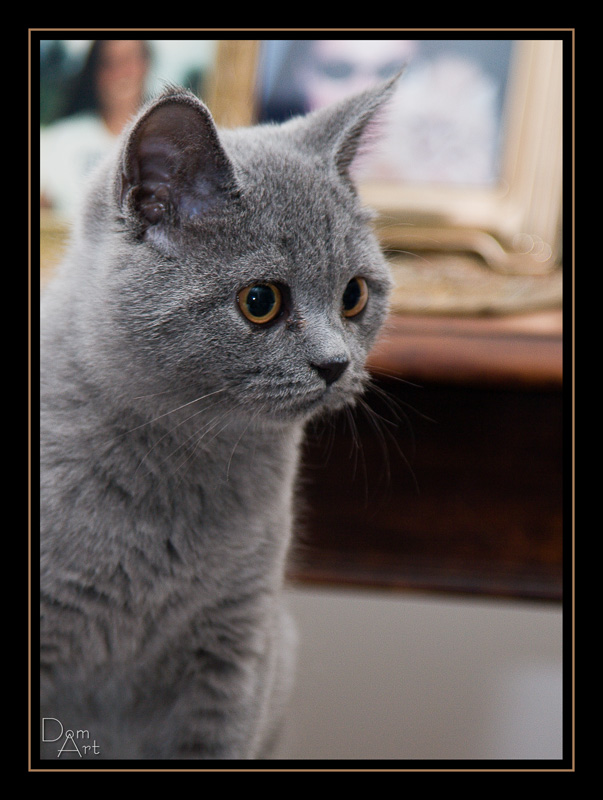 Nelda_7895web.jpg