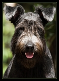 Guyane_5276web