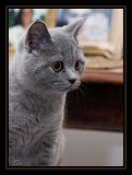Nelda_7895web