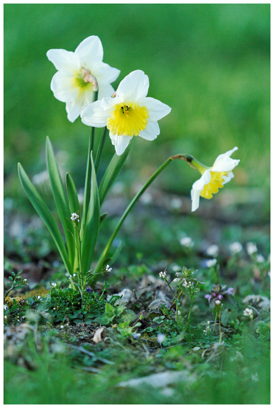 Campagne_7304web.jpg