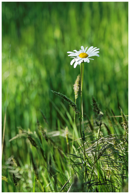 Campagne_8709web.jpg