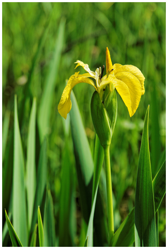Campagne_8719web.jpg