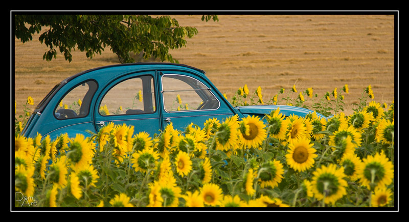 Tourn_0356web.jpg