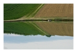 Camp_6264web