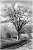 Campagne_7270nbweb