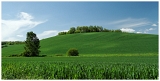 Campagne_8679web