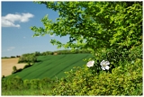 Campagne_8716web