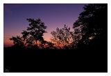 EL_0541web