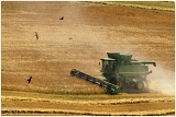 Moisson_6603web