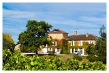 Vignes_0306web