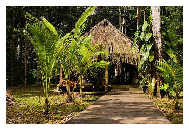 Guyane_5294web.jpg
