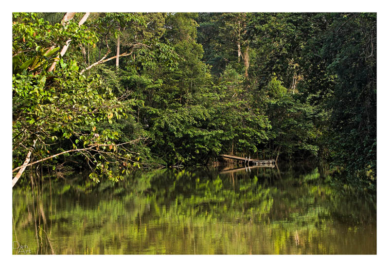 Guyane_5353web.jpg