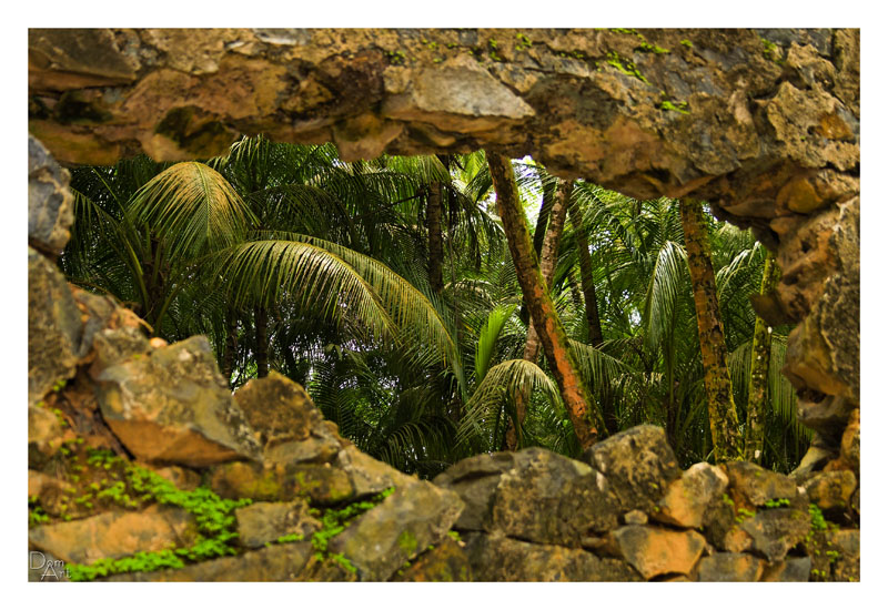 Guyane_6062web.jpg