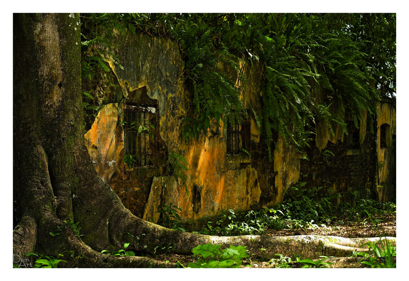 Guyane_6118web.jpg