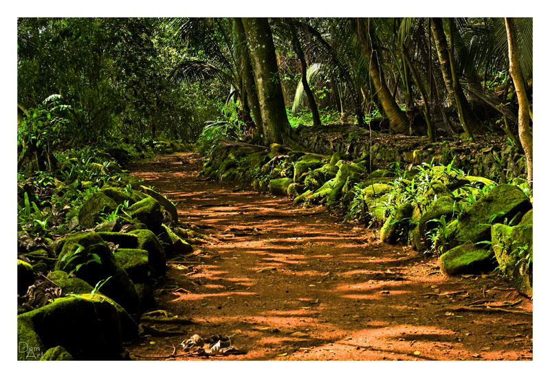 Guyane_6135web.jpg