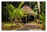 Guyane_5294web