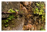 Guyane_5985web