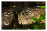 Guyane_5988nbweb