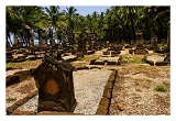 Guyane_6030web