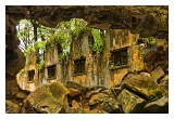 Guyane_6063