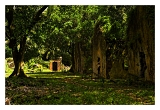 Guyane_6108web