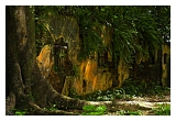 Guyane_6118web