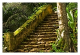 Guyane_6127web