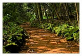 Guyane_6135web