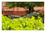 IMG_5861web