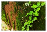 IMG_5941web
