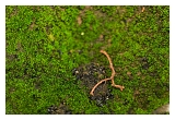 IMG_5946web