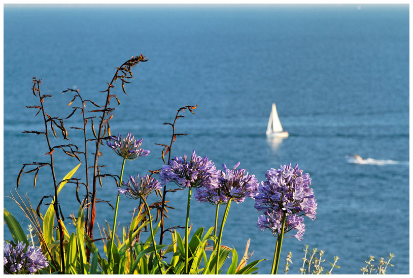Soir072012_0704web.jpg