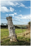 Apm_5472web