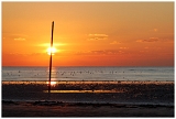 Plage_4587web