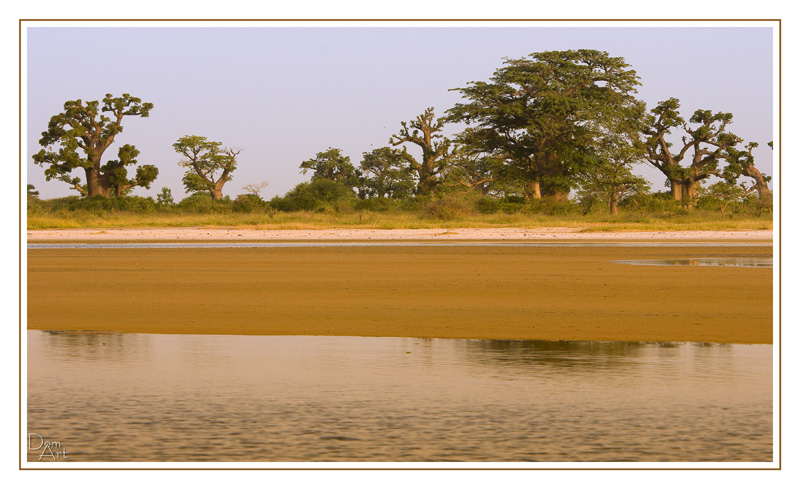 Niassam_8357web.jpg