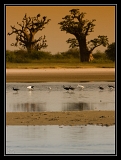 Niassam_8383web